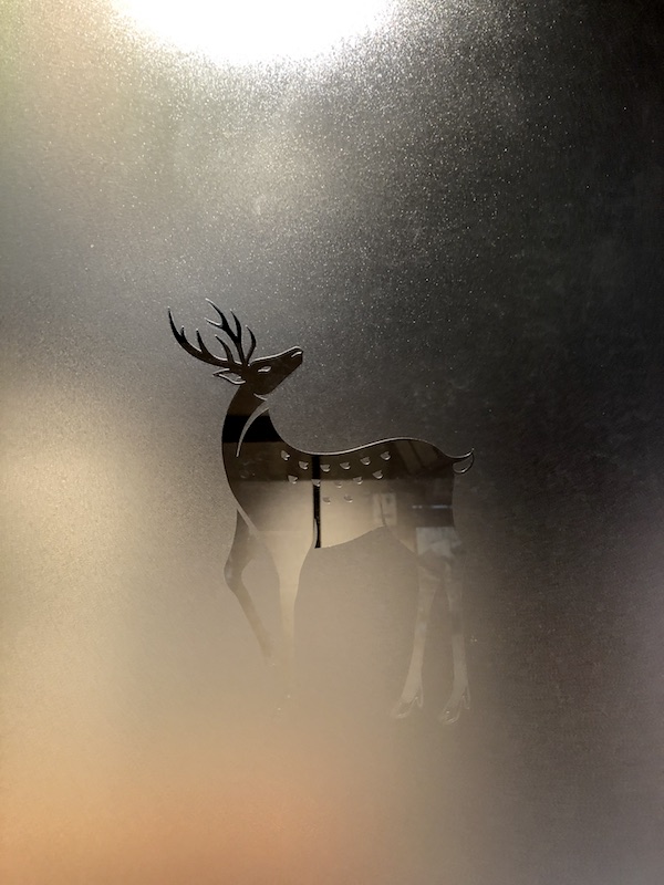 奈良と言えばこれですね photo