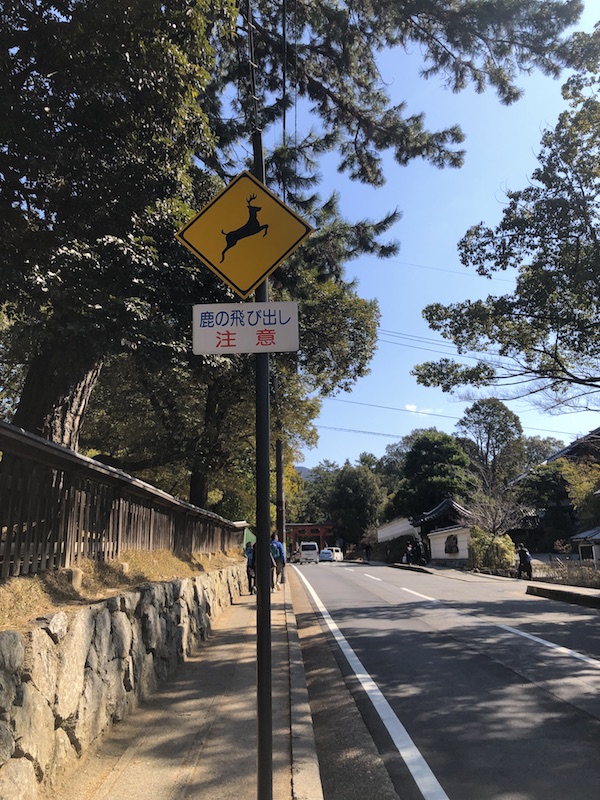 猿沢池のそば photo