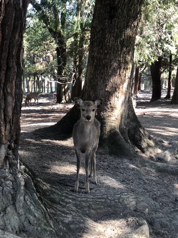目線いただきました photo
