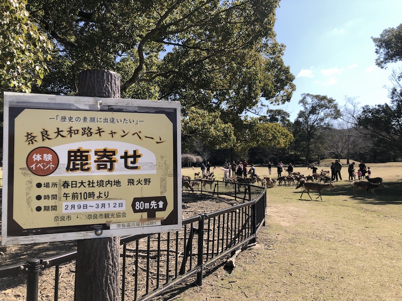 わらわらわらわら photo