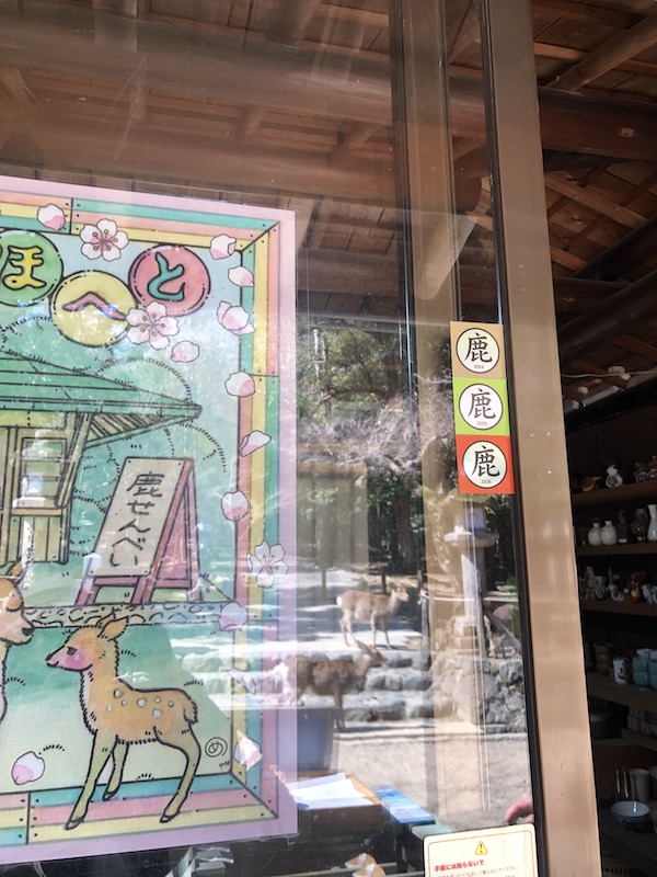 快く道を教えて下さった鹿せんべい店のご夫妻に感謝〜! photo