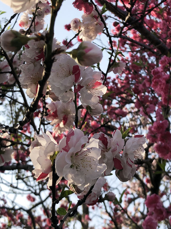 この配色どうやって決まるんだろう photo