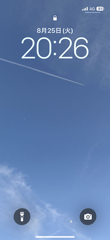 ダブル飛行機と夕方の月 photo